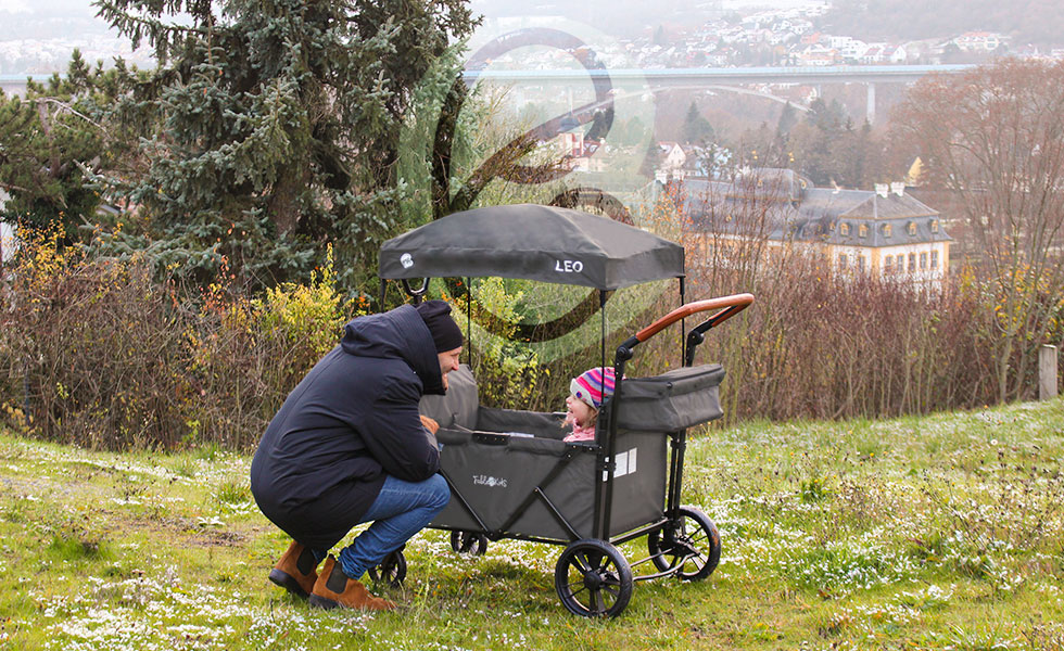 FableKids Chariot à main LEO X2 Lite avec toit chariot de Transport pliable